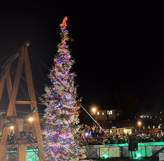 folsom-ca-christmas-tree-lighting